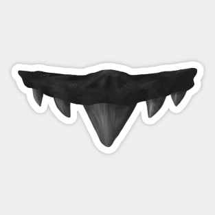 Paraorthacodus Shark Tooth Sticker